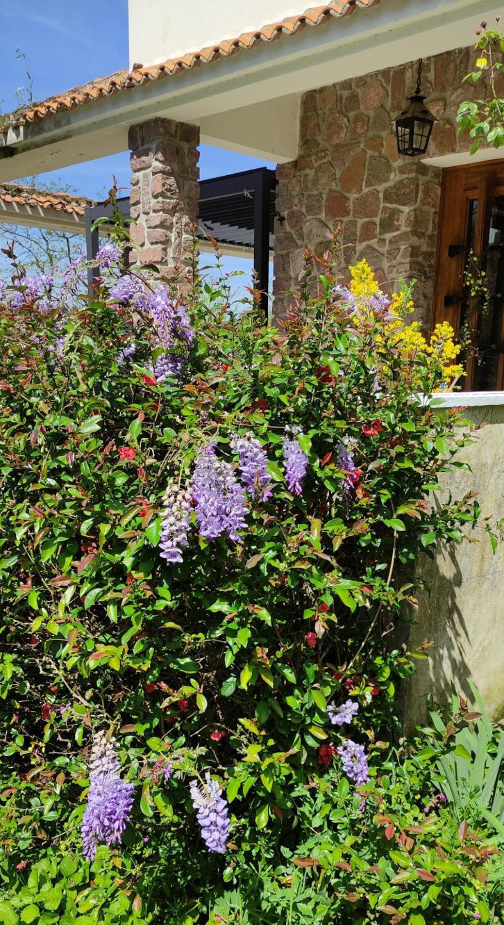 13 Bees Bed and Breakfast Confolens Εξωτερικό φωτογραφία