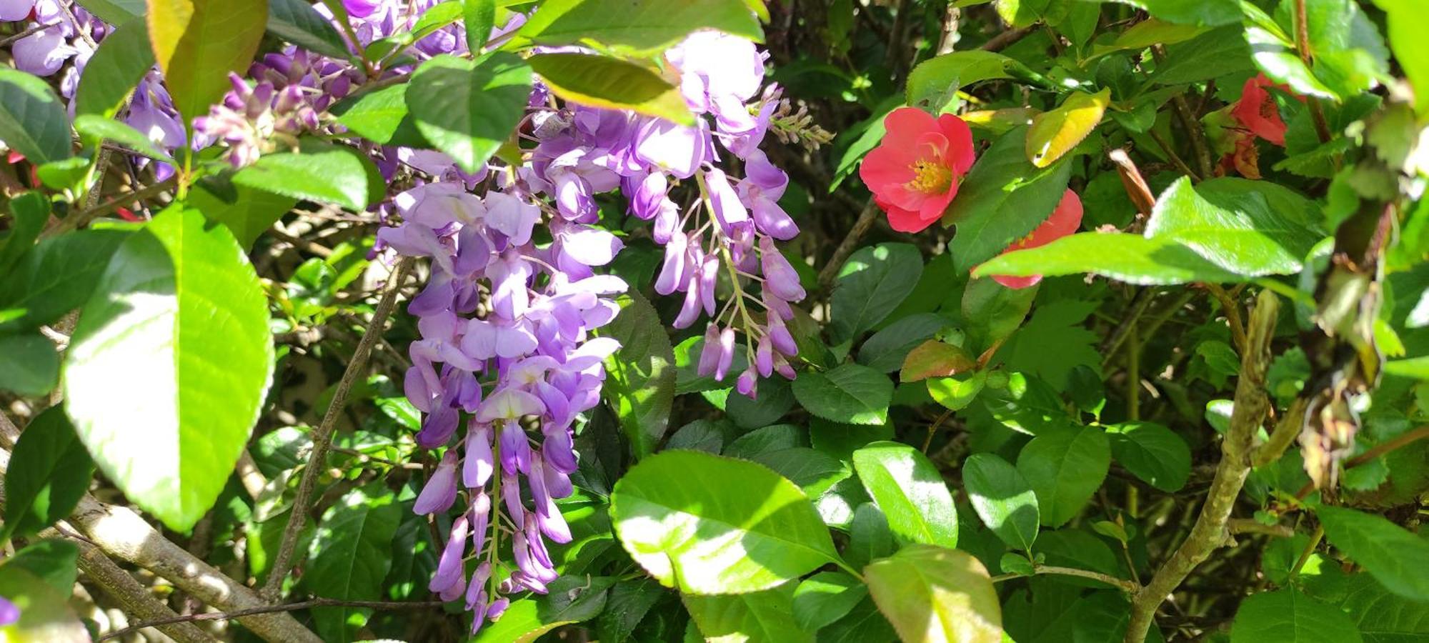 13 Bees Bed and Breakfast Confolens Εξωτερικό φωτογραφία