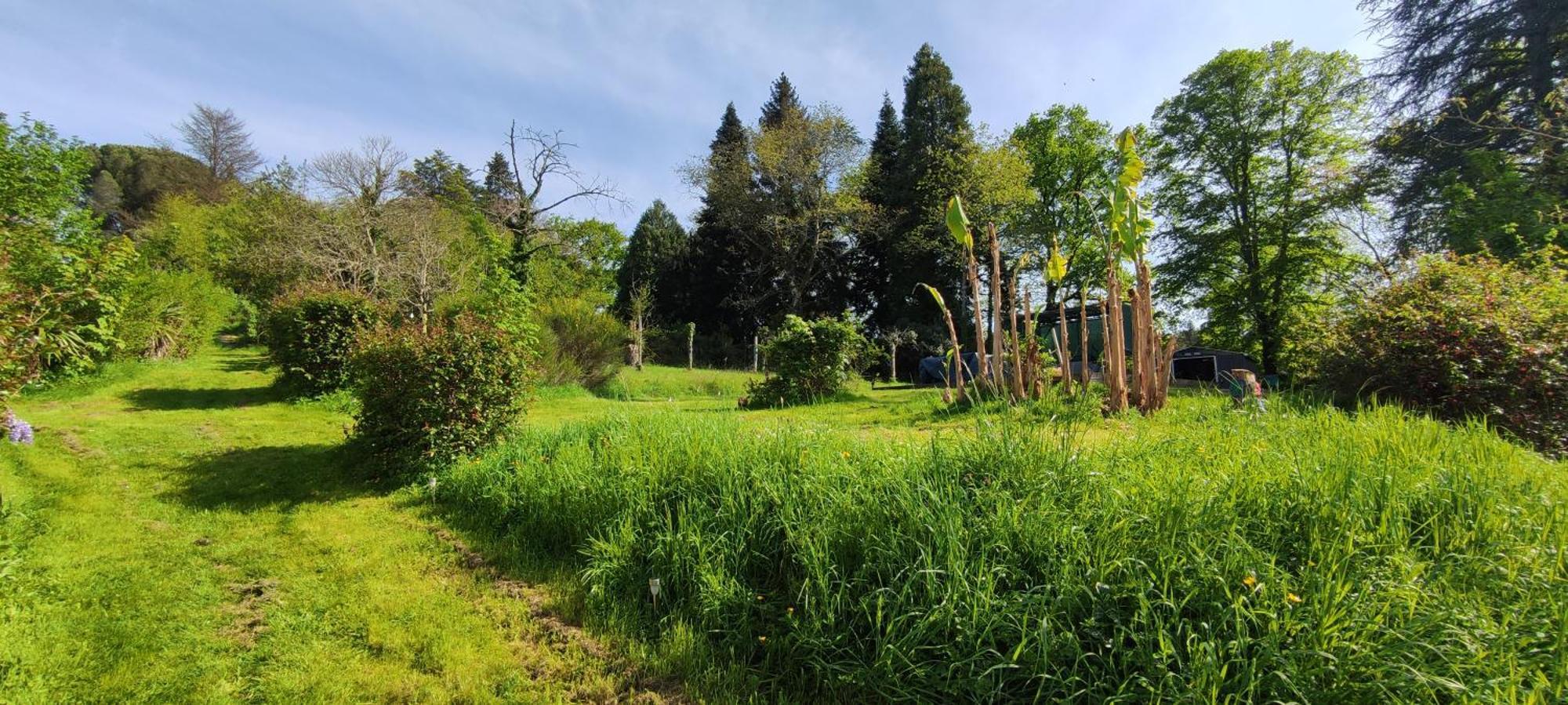 13 Bees Bed and Breakfast Confolens Εξωτερικό φωτογραφία