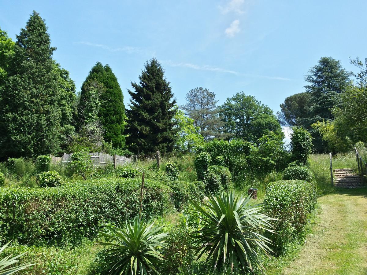 13 Bees Bed and Breakfast Confolens Εξωτερικό φωτογραφία