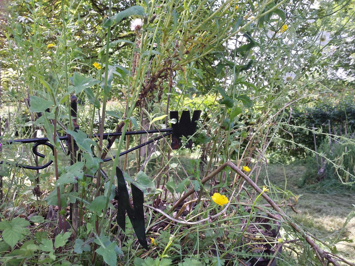 13 Bees Bed and Breakfast Confolens Εξωτερικό φωτογραφία