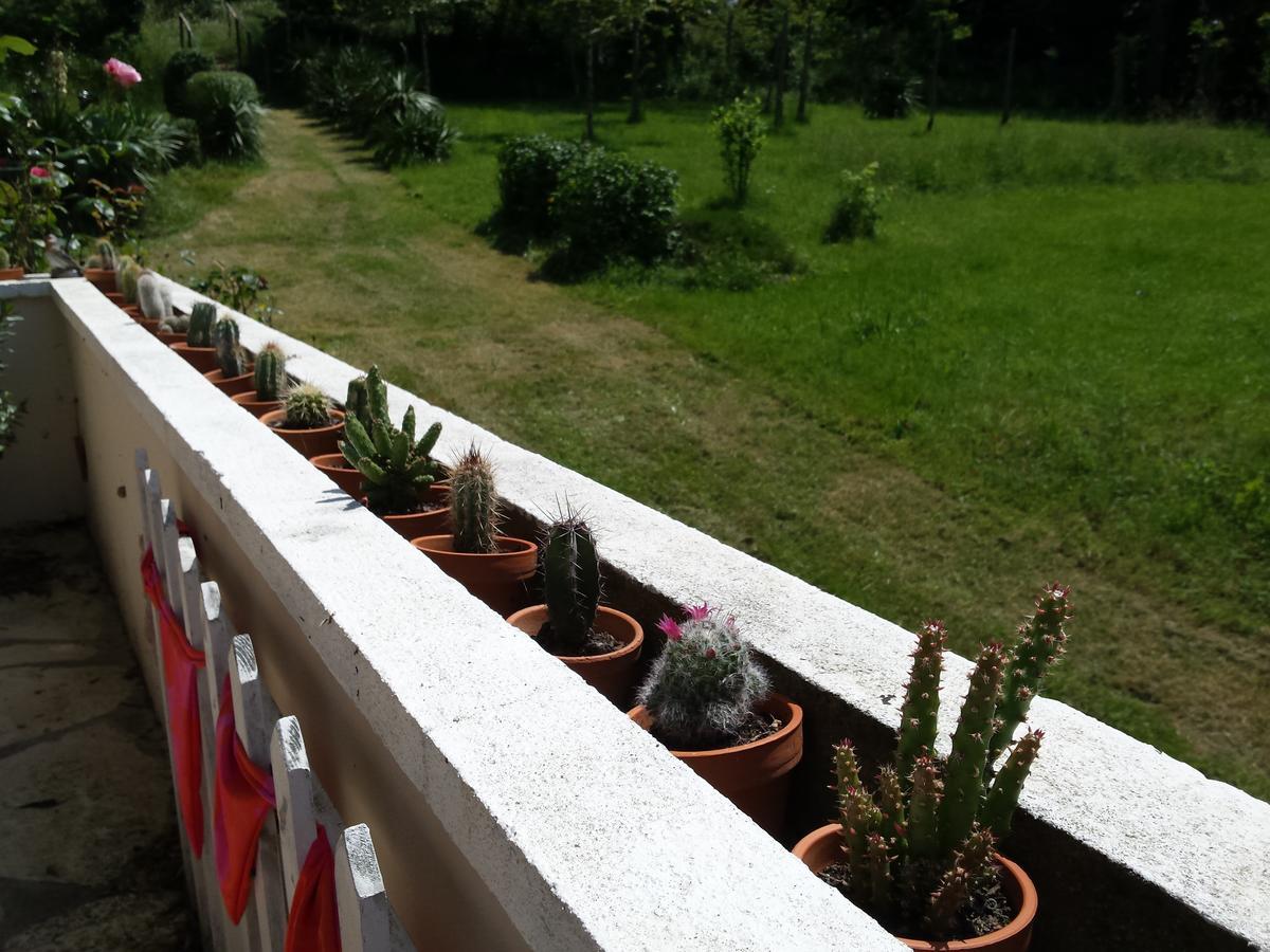 13 Bees Bed and Breakfast Confolens Εξωτερικό φωτογραφία